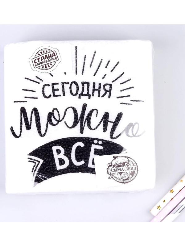 Салфетки бумажные «Сегодня можно всё», однослойные, 24х24 см, набор 20 шт.