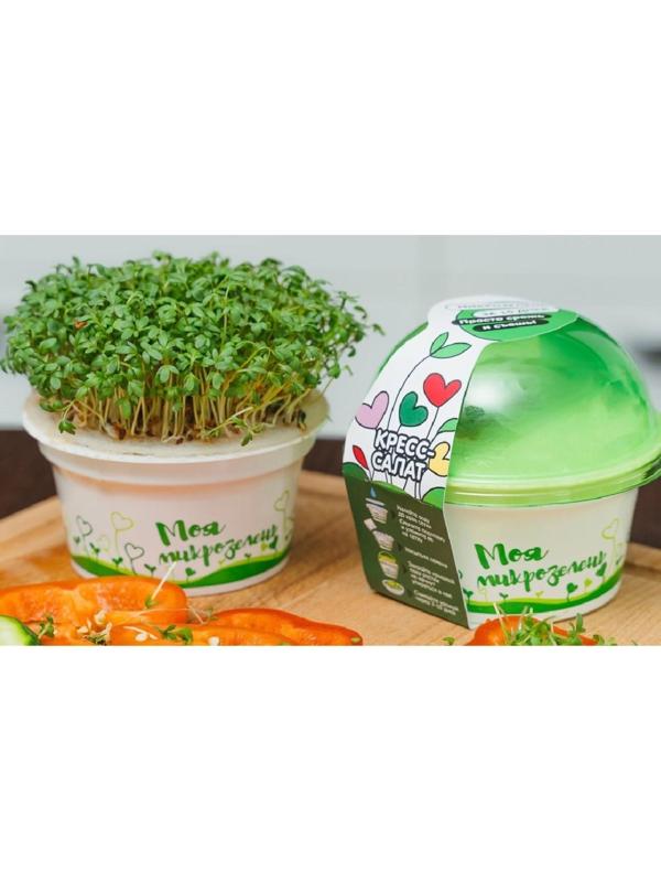 Набор для выращивания «Моя микрозелень», кресс-салат