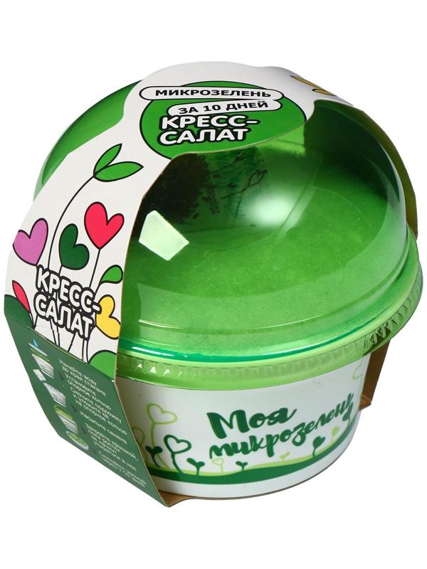 Набор для выращивания «Моя микрозелень», кресс-салат