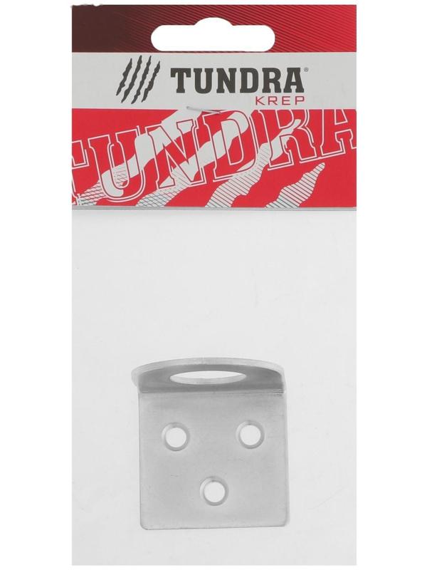 Пробой-ушко ТУНДРА krep, гнутое, 40х75 мм, цинк, в упаковке 1 шт.