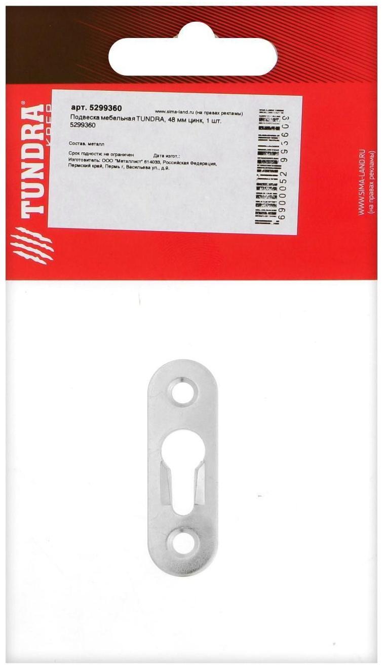 Подвеска мебельная ТУНДРА, 48 мм, цинк, 1 шт.