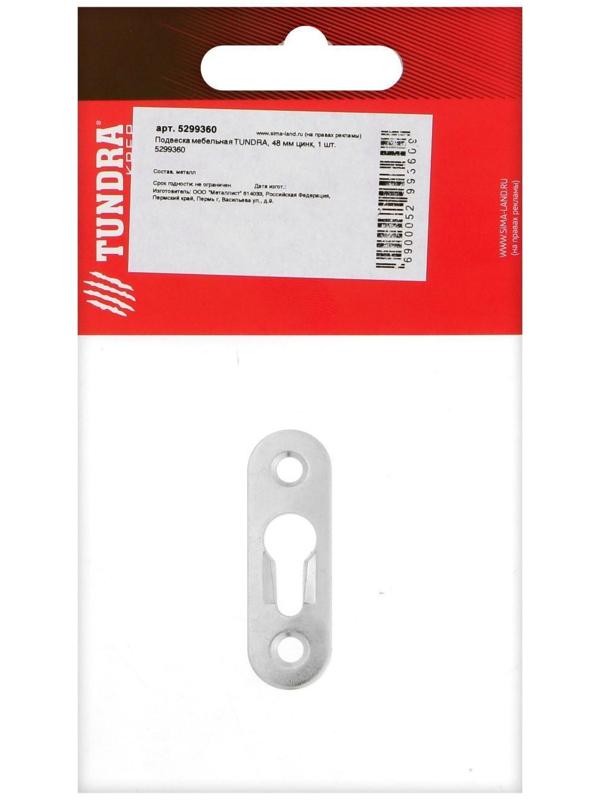 Подвеска мебельная ТУНДРА, 48 мм, цинк, 1 шт.