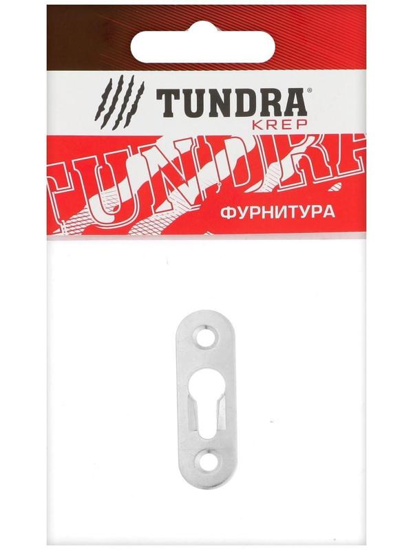 Подвеска мебельная ТУНДРА, 48 мм, цинк, 1 шт.