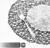 Набор салфеток сервировочных на стол Доляна «Паутинка», d=38 см, 4 шт, цвет чёрный