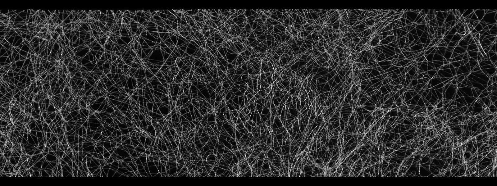 Паутинка клеевая, 25 мм, 15 ± 1 м, цвет белый