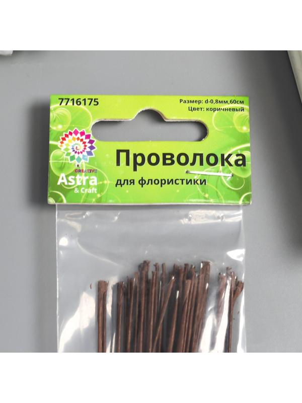 Набор проволоки для творчества d-0,8 мм, 60 см, 50 шт, коричневый