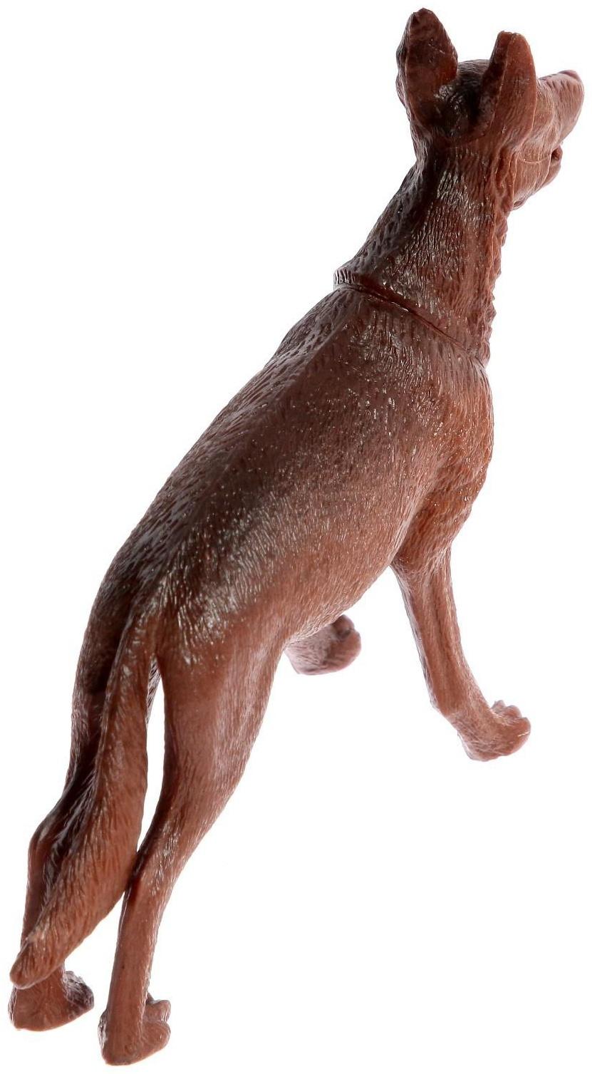 Набор животных «Фермерское хозяйство», 6 фигурок