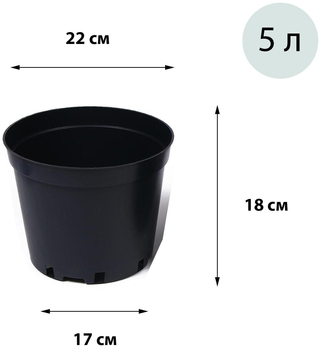 Горшок для рассады, 5 л, d = 22 см, h = 18 см, чёрный, Greengo