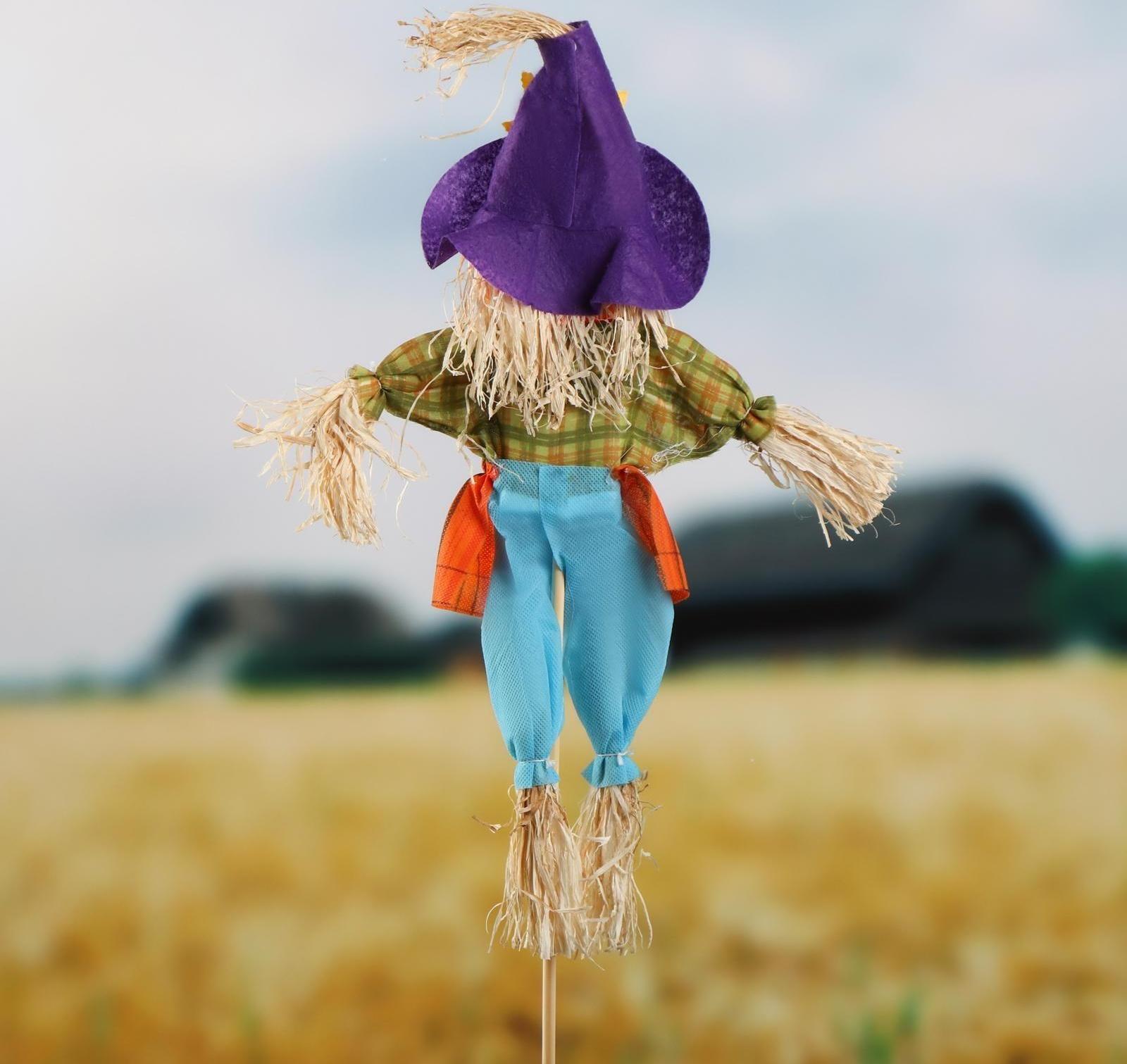 Огородное пугало «Тыква», h = 80 см, МИКС