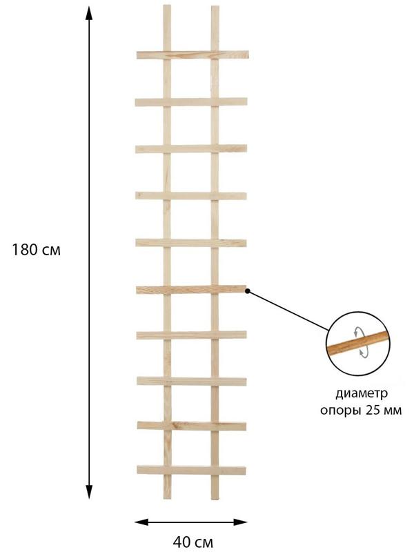 Шпалера, 180 × 40 × 2,5 см, дерево, «Лесенка»
