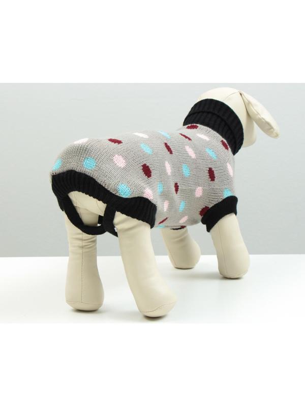 Свитер, размер 16 (ДС 45-60, ОШ 20-37, ОГ 37-52 см), микс расцветок