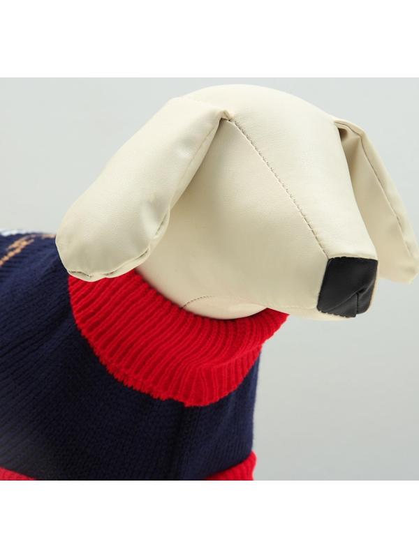 Свитер, размер 18 (ДС 50-65, ОШ 22-37, ОГ 38-53 см), микс расцветок