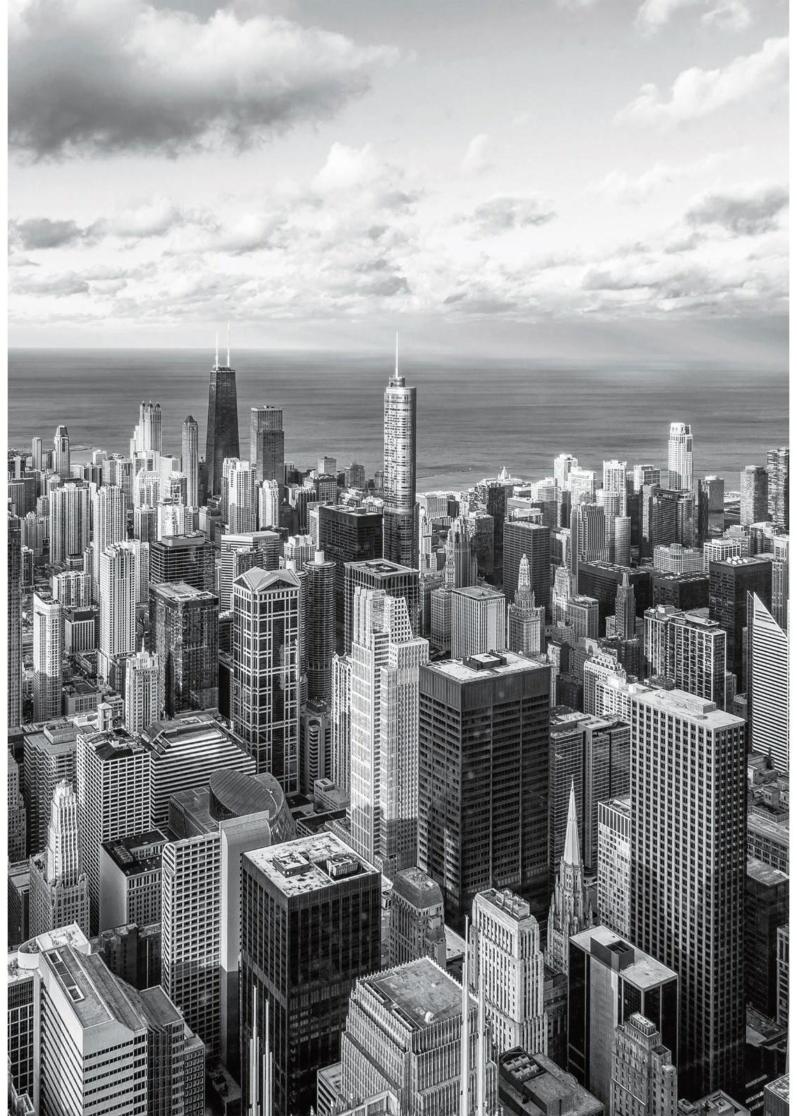 Фотообои «Панорама Чикаго» (4 листа) 140Х200 см