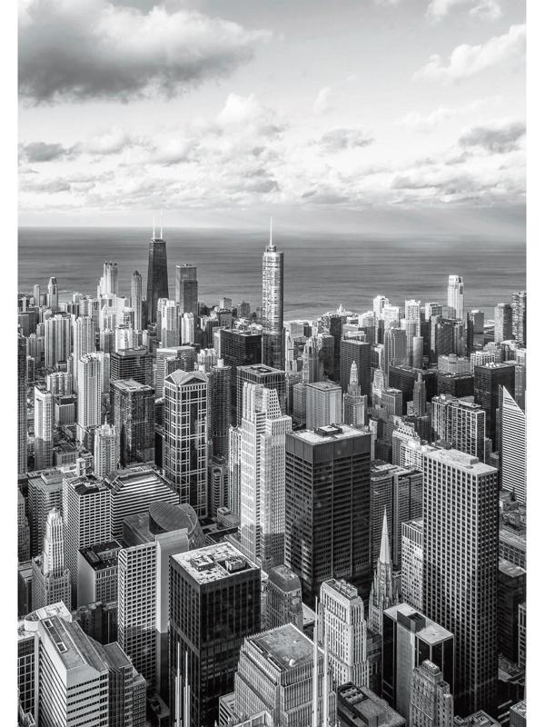 Фотообои «Панорама Чикаго» (4 листа) 140Х200 см