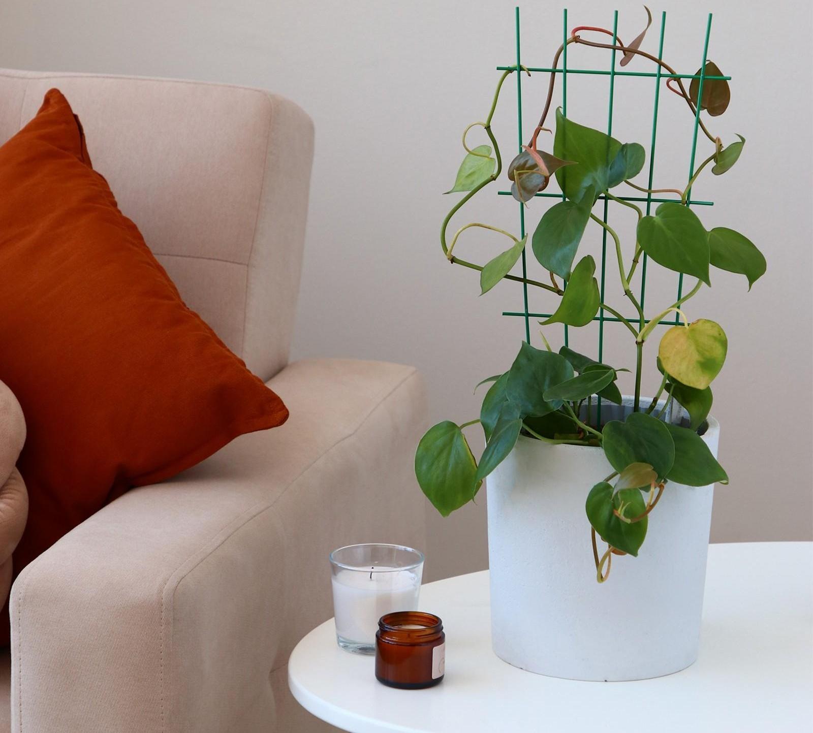 Шпалера, 40 × 20 × 0.3 см, металл, зелёная, «Решётка»