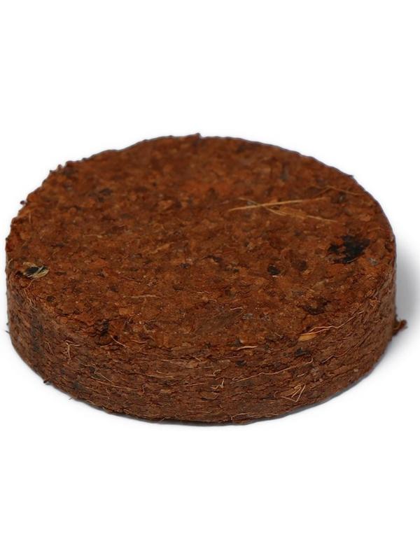 Таблетки кокосовые, d = 3,5 см, набор 10 шт., без оболочки, Greengo