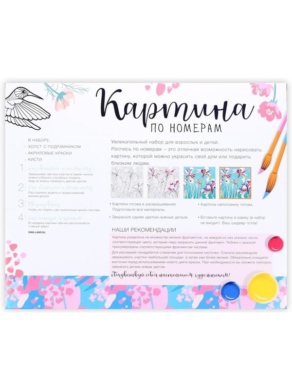 Картина по номерам на холсте с подрамником «Воздушные шары» 40х50 см