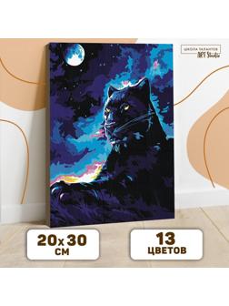 Картина по номерам на холсте с подрамником «Пантера в ночи» 20х30 см