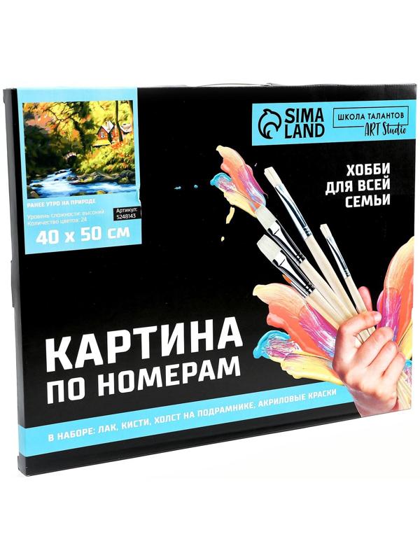 Картина по номерам на холсте с подрамником «Ранее утро на природе» 40х50 см