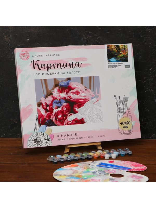 Картина по номерам на холсте с подрамником «Ранее утро на природе» 40х50 см