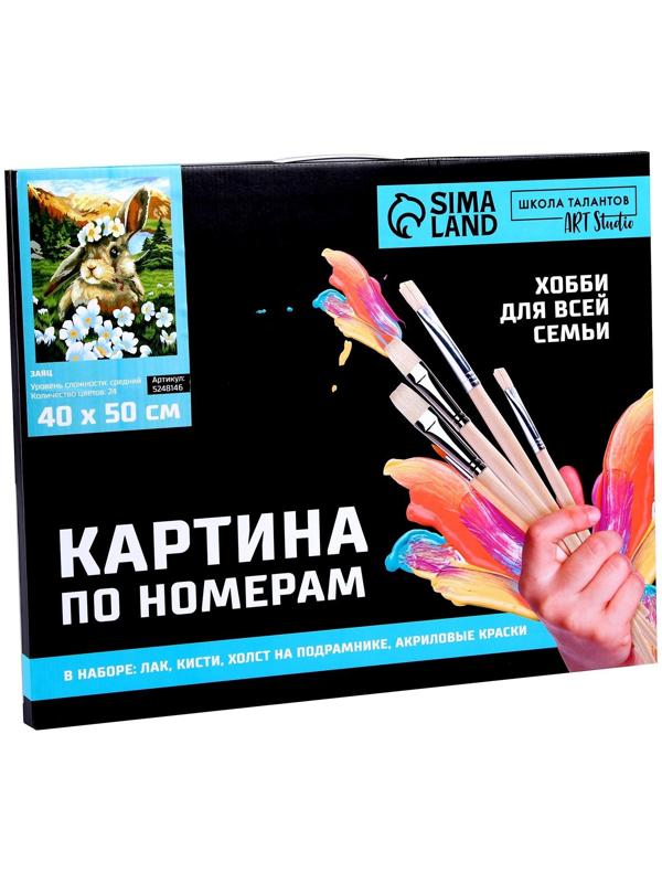 Картина по номерам на холсте с подрамником «Заяц» 40х50 см