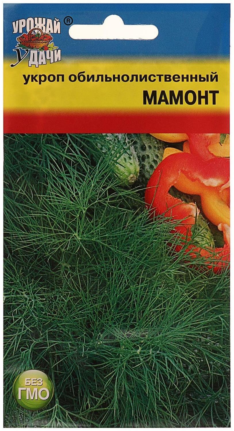 Семена Укроп 