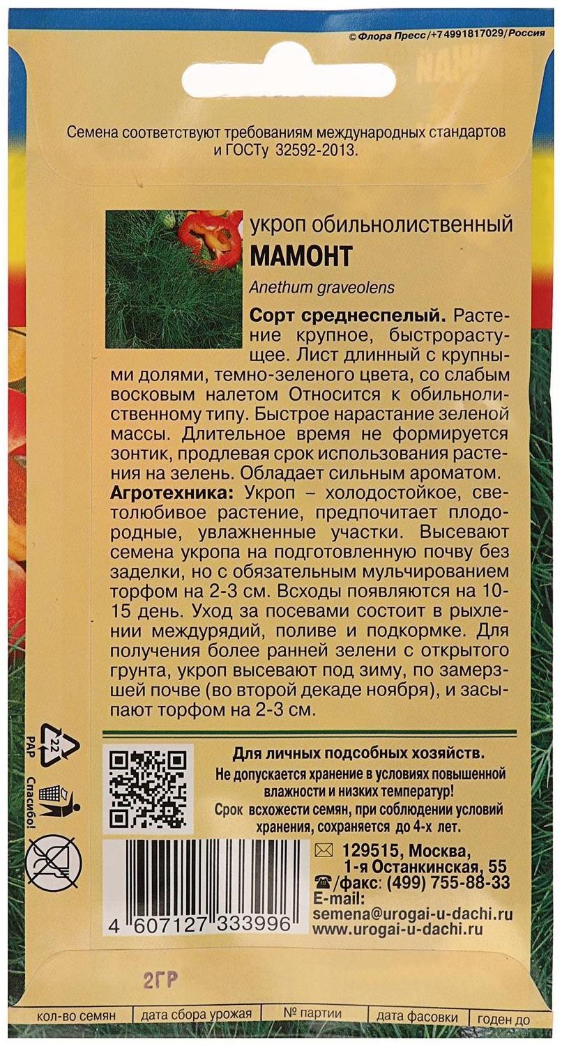 Семена Укроп 