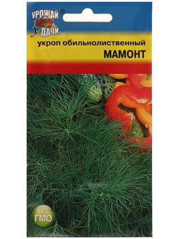 Семена Укроп 