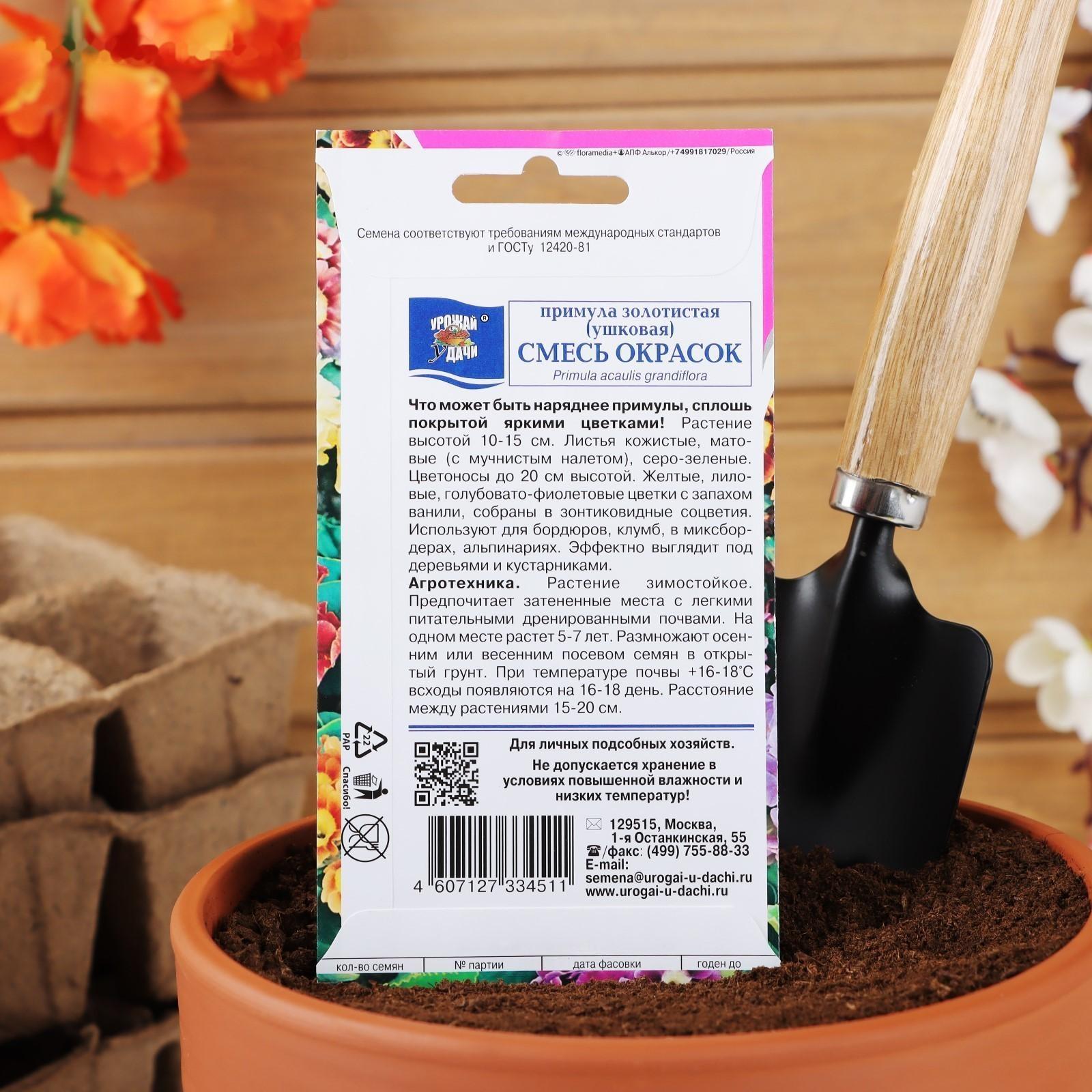 Семена цветов Примула 