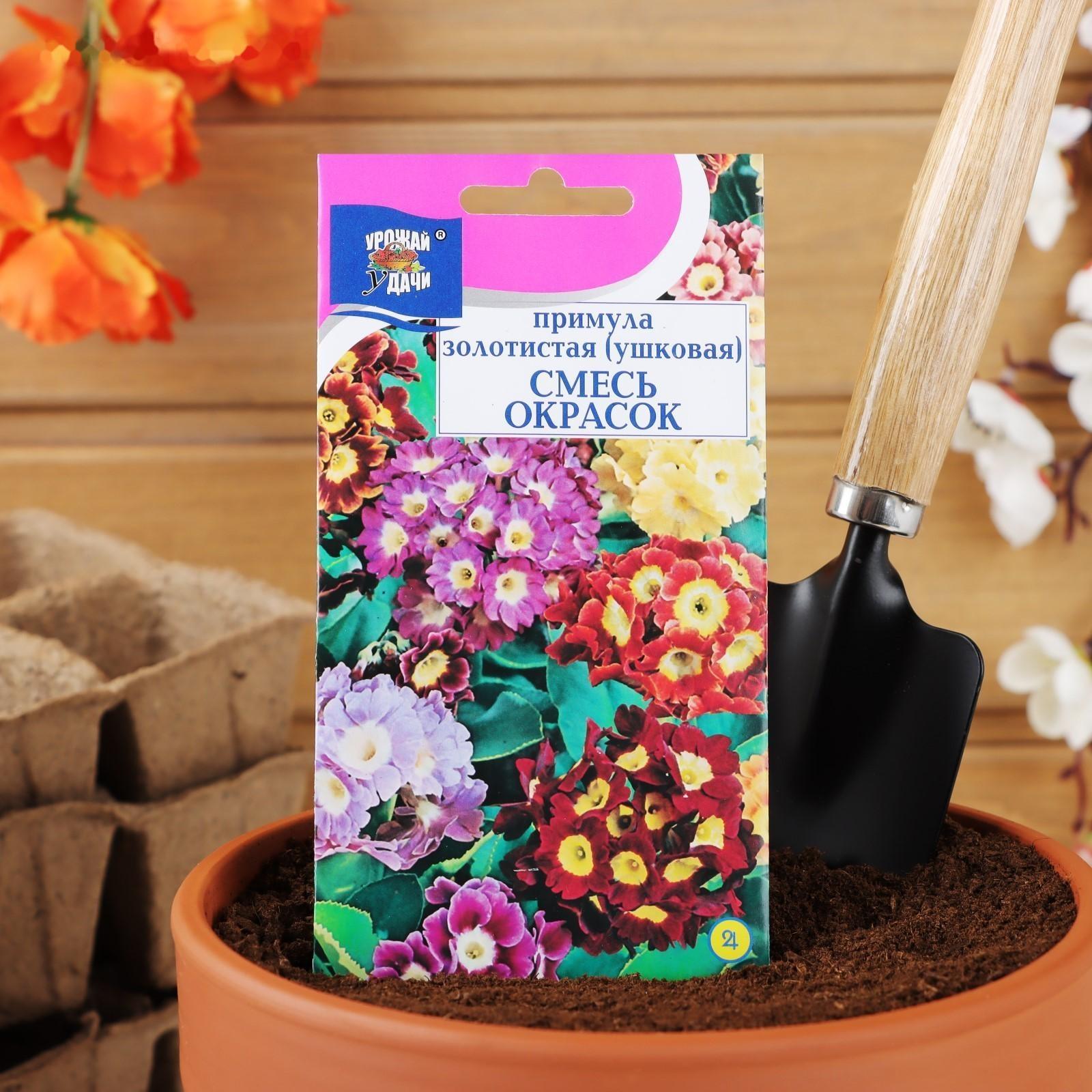 Семена цветов Примула 