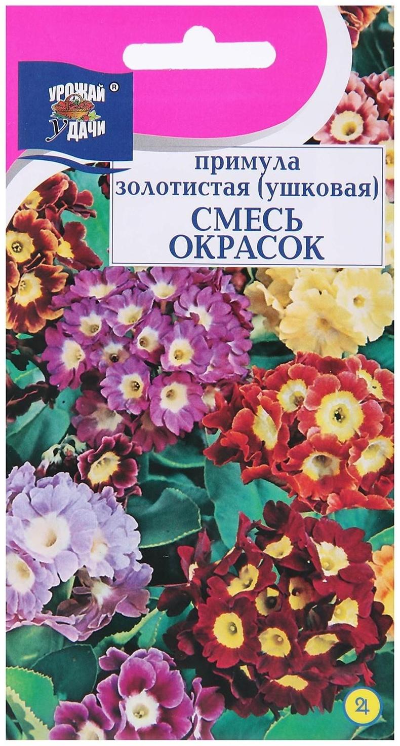 Семена цветов Примула 