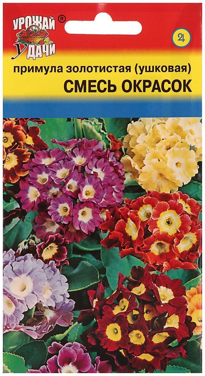 Семена цветов Примула 