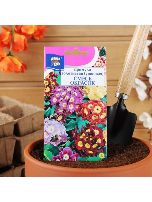 Семена цветов Примула 