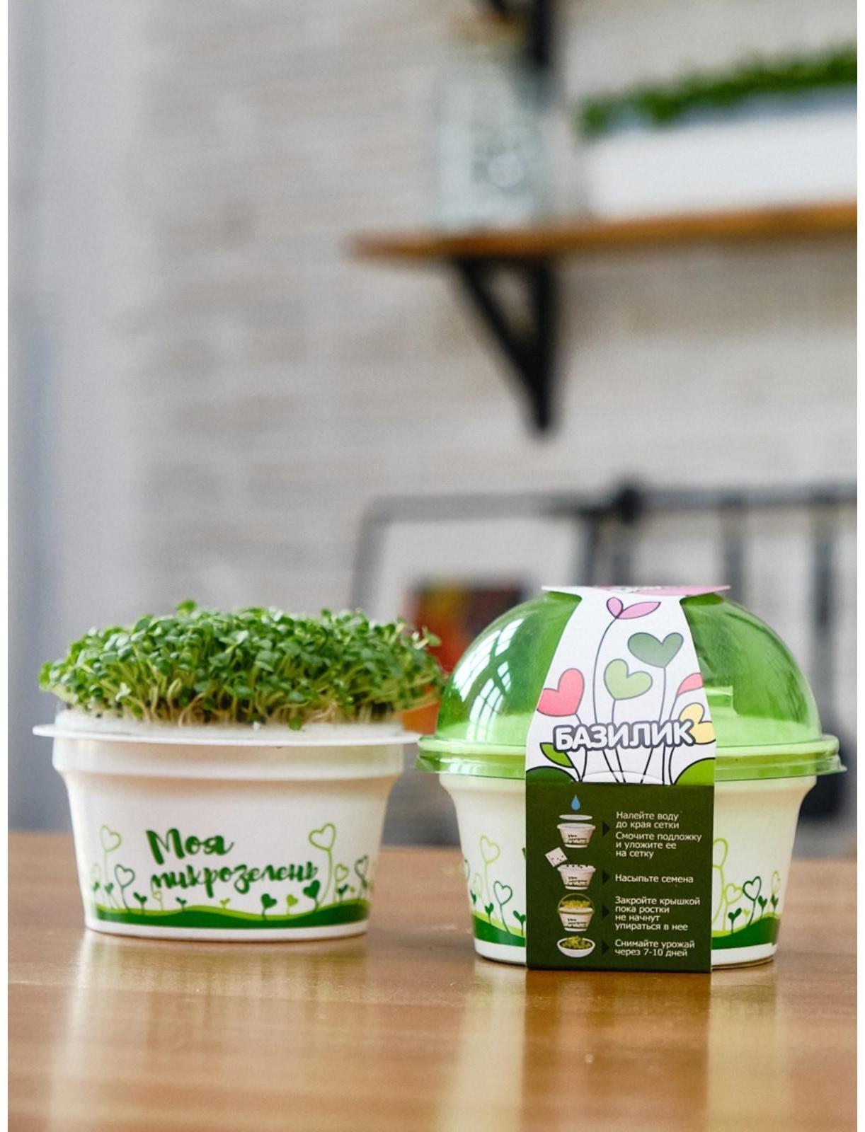 Набор для выращивания «Моя микрозелень», базилик