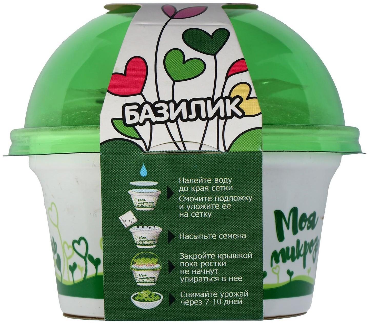 Набор для выращивания «Моя микрозелень», базилик