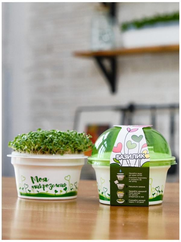 Набор для выращивания «Моя микрозелень», базилик