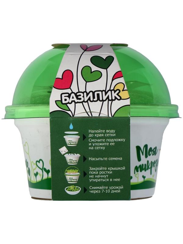Набор для выращивания «Моя микрозелень», базилик