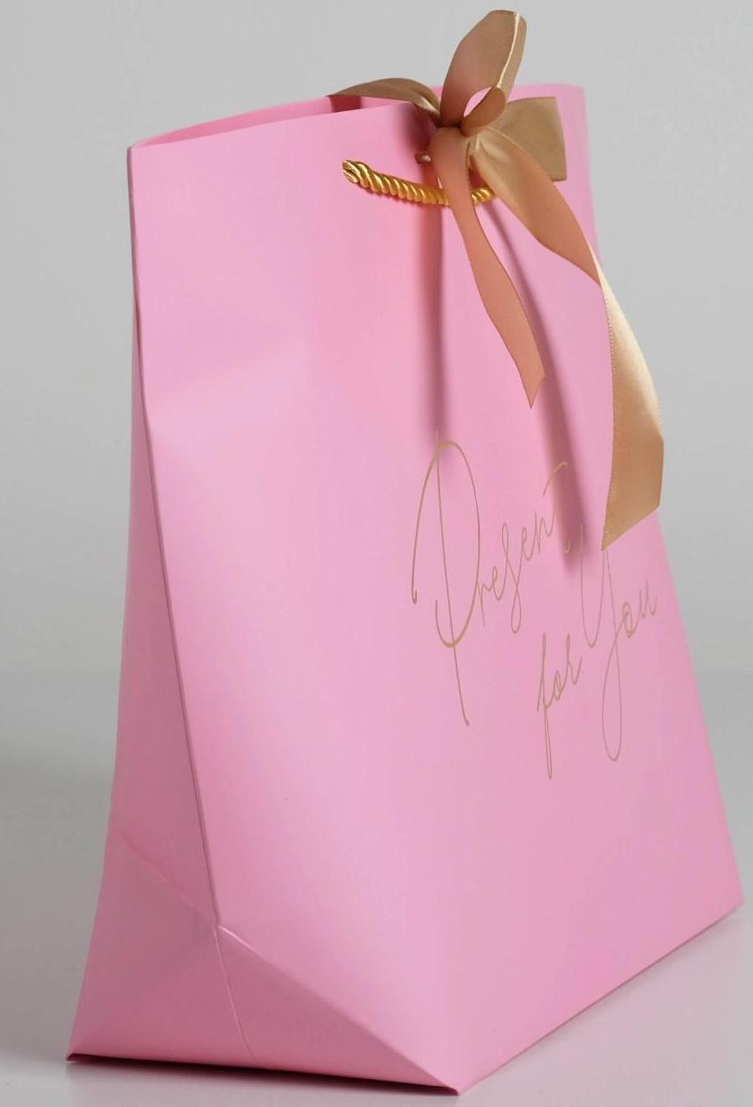 Пакет подарочный «Present for you», 30 х 27.5 х 12 см