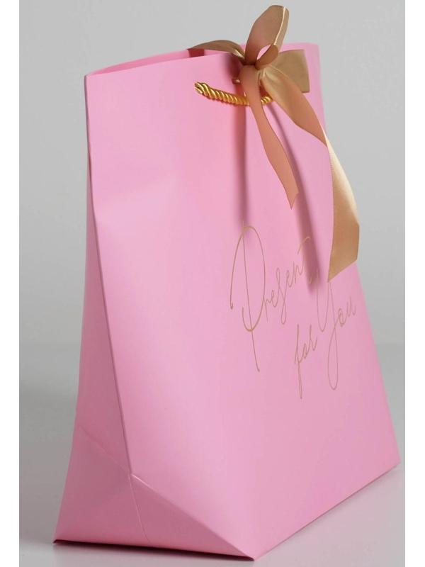 Пакет подарочный «Present for you», 30 х 27.5 х 12 см