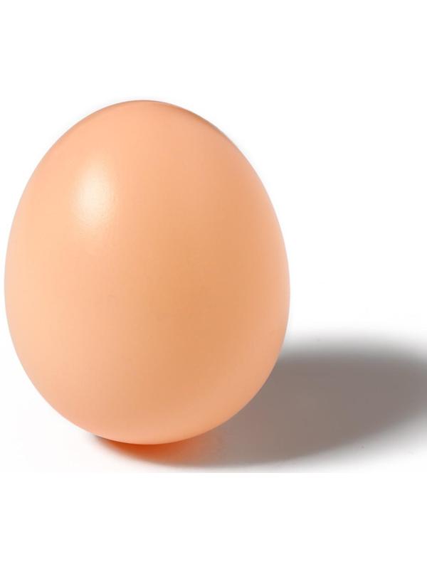 Яйцо искусственное подкладное, для кур, 1 шт., коричневое