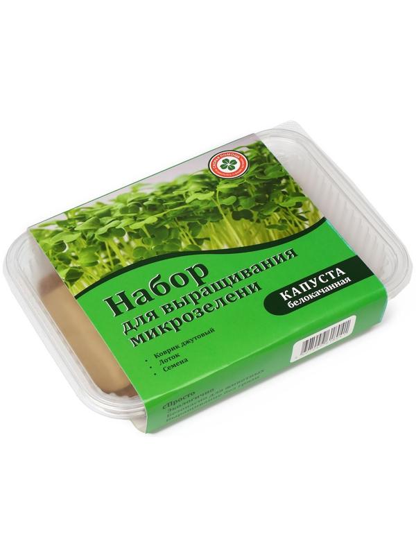 Набор для выращивания микрозелени: Капуста белокачанная, лоток, джутовый коврик
