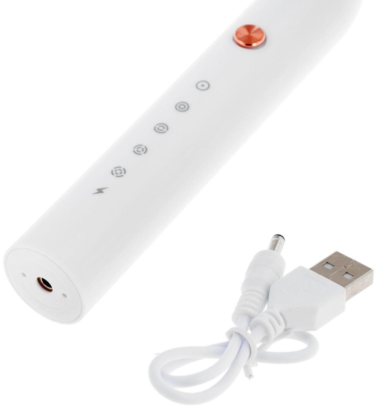 Электрическая зубная щётка Luazon LP-005, вибрационная, 2 насадки, от АКБ, белая