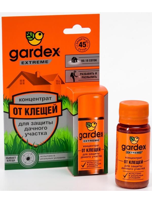 Концентрат 