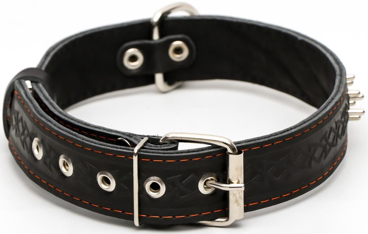 Ошейник кожаный двухслойный клёпаный 