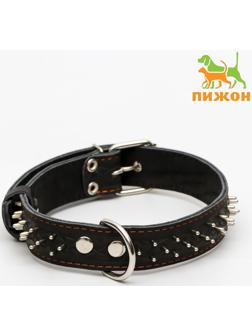 Ошейник кожаный двухслойный клёпаный 