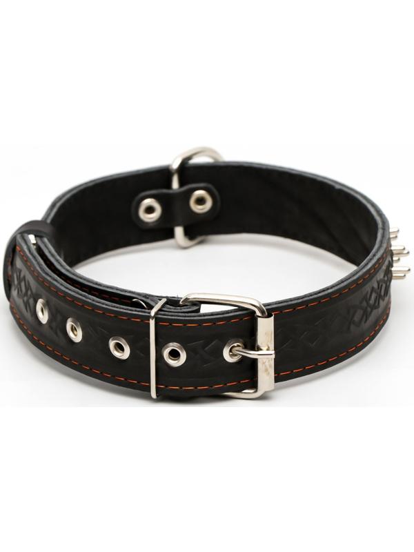 Ошейник кожаный двухслойный клёпаный 