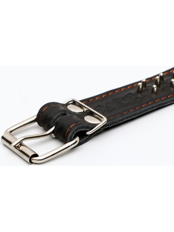 Ошейник кожаный двухслойный клёпаный 