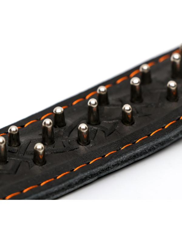 Ошейник кожаный двухслойный клёпаный 