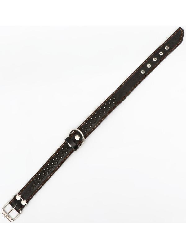 Ошейник кожаный двухслойный клёпаный 