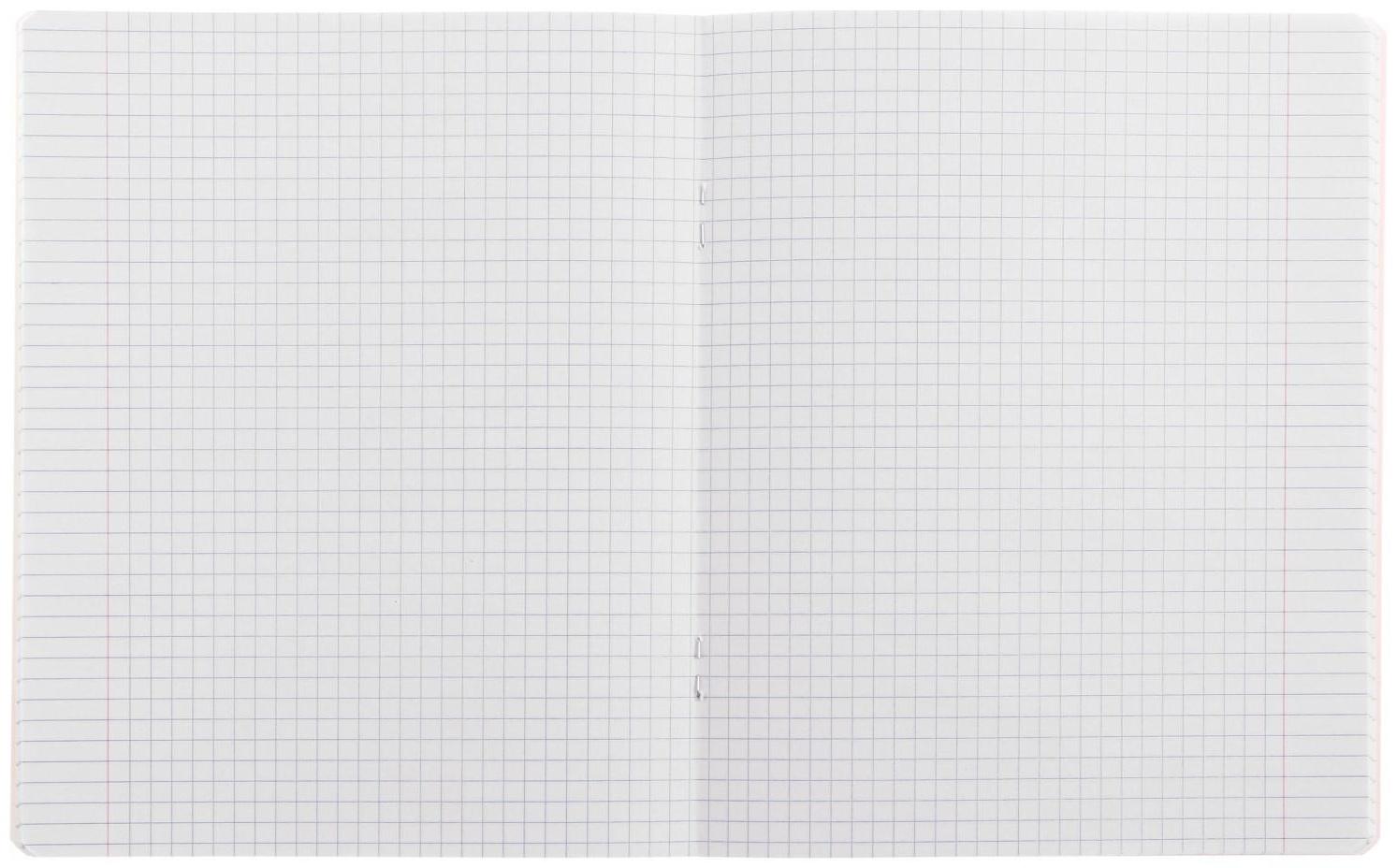 Тетрадь 24 листа в клетку Calligrata 